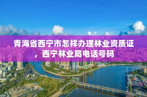 青海省西宁市怎样办理林业资质证，西宁林业局电话号码