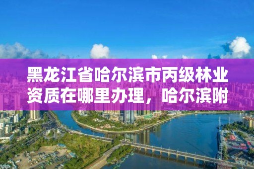 黑龙江省哈尔滨市丙级林业资质在哪里办理，哈尔滨附近的林业局