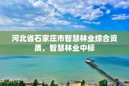 河北省石家庄市智慧林业综合资质，智慧林业中标