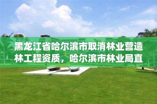 黑龙江省哈尔滨市取消林业营造林工程资质，哈尔滨市林业局直属林场