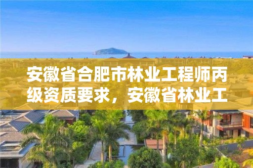 安徽省合肥市林业工程师丙级资质要求，安徽省林业工程系列专业技术资格评审标准条件