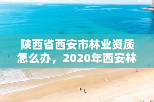 陕西省西安市林业资质怎么办，2020年西安林业局招聘