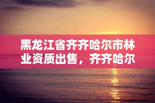 黑龙江省齐齐哈尔市林业资质出售，齐齐哈尔市林业机械厂