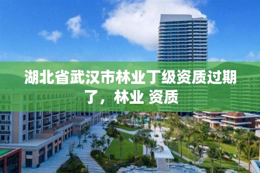 湖北省武汉市林业丁级资质过期了，林业 资质