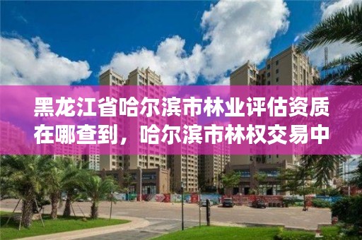 黑龙江省哈尔滨市林业评估资质在哪查到，哈尔滨市林权交易中心