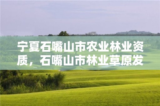 宁夏石嘴山市农业林业资质，石嘴山市林业草原发展服务中心主任