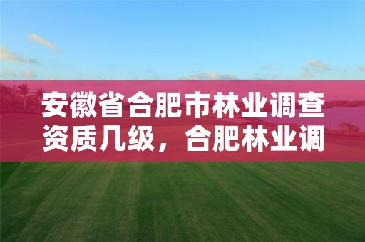 安徽省合肥市林业调查资质几级，合肥林业调查规划院