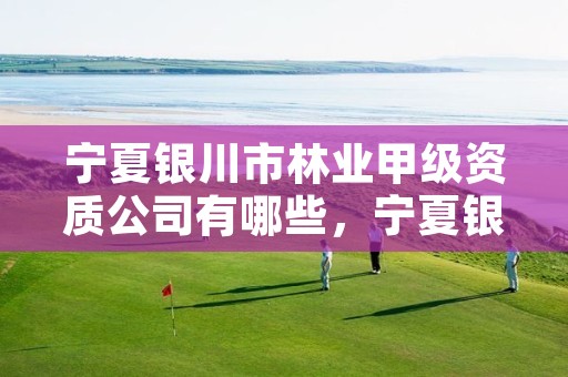 宁夏银川市林业甲级资质公司有哪些，宁夏银川市林业甲级资质公司有哪些企业