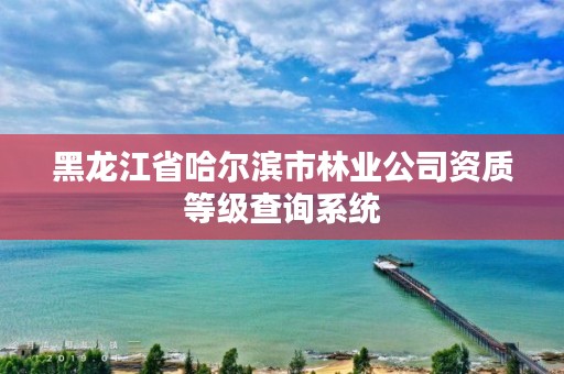 黑龙江省哈尔滨市林业公司资质等级查询系统