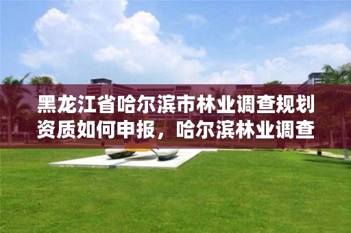 黑龙江省哈尔滨市林业调查规划资质如何申报，哈尔滨林业调查规划有限公司