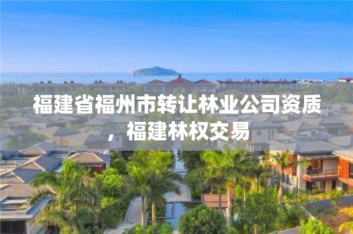 福建省福州市转让林业公司资质，福建林权交易