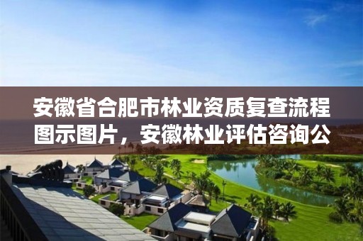 安徽省合肥市林业资质复查流程图示图片，安徽林业评估咨询公司