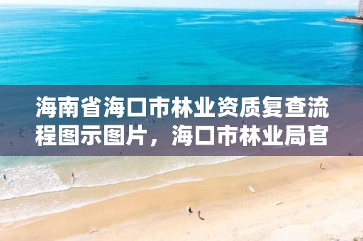 海南省海口市林业资质复查流程图示图片，海口市林业局官网