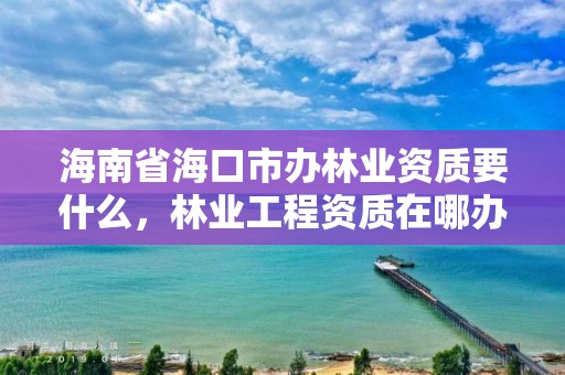 海南省海口市办林业资质要什么，林业工程资质在哪办