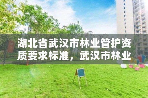 湖北省武汉市林业管护资质要求标准，武汉市林业集团