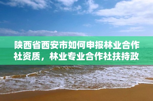 陕西省西安市如何申报林业合作社资质，林业专业合作社扶持政策