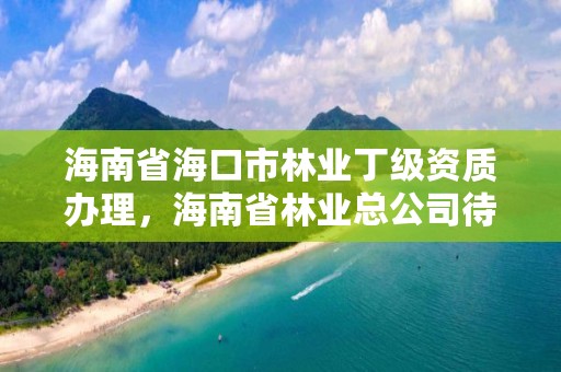 海南省海口市林业丁级资质办理，海南省林业总公司待遇