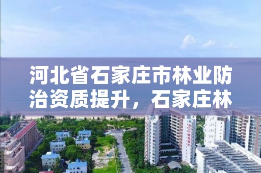 河北省石家庄市林业防治资质提升，石家庄林业和草原局