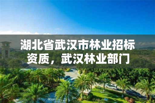 湖北省武汉市林业招标资质，武汉林业部门