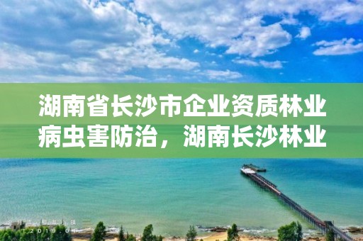 湖南省长沙市企业资质林业病虫害防治，湖南长沙林业局