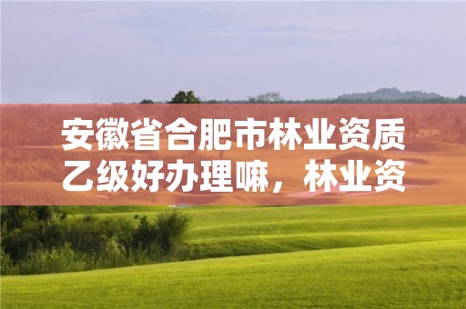 安徽省合肥市林业资质乙级好办理嘛，林业资质等级