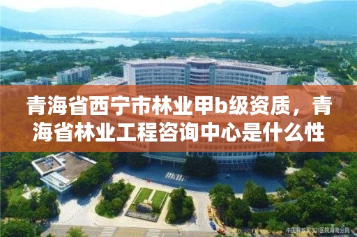 青海省西宁市林业甲b级资质，青海省林业工程咨询中心是什么性质的单位