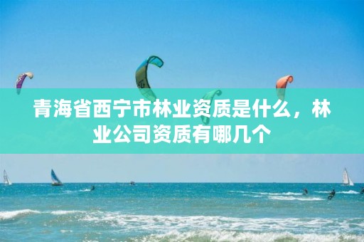 青海省西宁市林业资质是什么，林业公司资质有哪几个