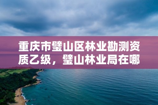 重庆市璧山区林业勘测资质乙级，璧山林业局在哪里