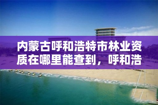 内蒙古呼和浩特市林业资质在哪里能查到，呼和浩特林业厅在哪