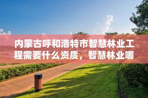 内蒙古呼和浩特市智慧林业工程需要什么资质，智慧林业哪个公司做得好