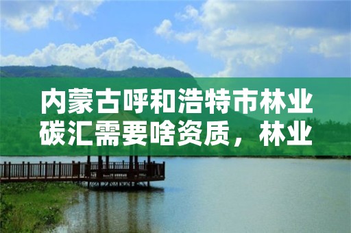 内蒙古呼和浩特市林业碳汇需要啥资质，林业碳汇项目的申请主体包含哪些