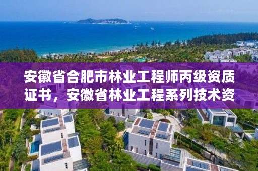 安徽省合肥市林业工程师丙级资质证书，安徽省林业工程系列技术资格评审标准条件