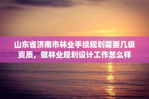 山东省济南市林业手续规划需要几级资质，做林业规划设计工作怎么样