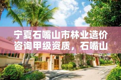 宁夏石嘴山市林业造价咨询甲级资质，石嘴山市林业和草原局