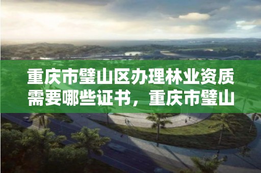 重庆市璧山区办理林业资质需要哪些证书，重庆市璧山区办理林业资质需要哪些证书呢