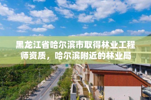 黑龙江省哈尔滨市取得林业工程师资质，哈尔滨附近的林业局