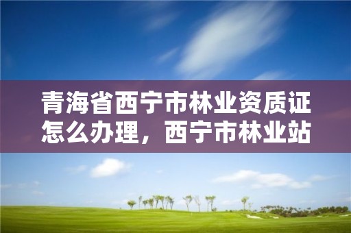 青海省西宁市林业资质证怎么办理，西宁市林业站