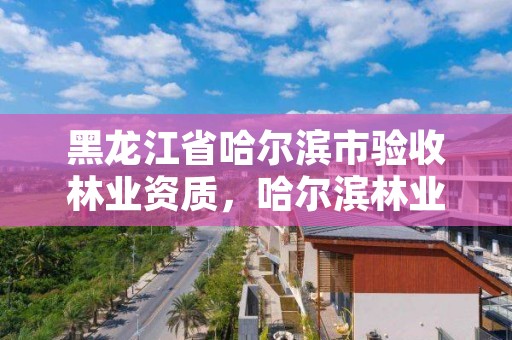 黑龙江省哈尔滨市验收林业资质，哈尔滨林业公司