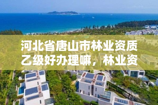 河北省唐山市林业资质乙级好办理嘛，林业资质证书