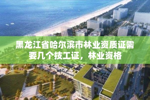 黑龙江省哈尔滨市林业资质证需要几个技工证，林业资格