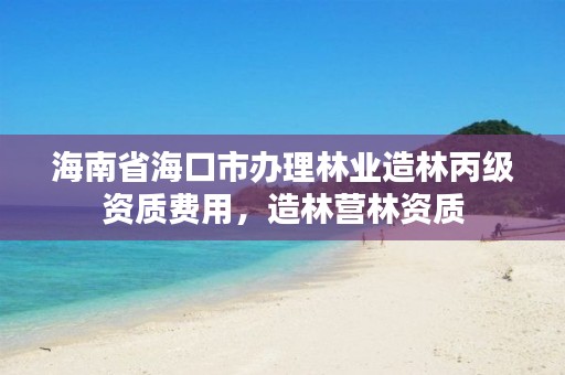 海南省海口市办理林业造林丙级资质费用，造林营林资质