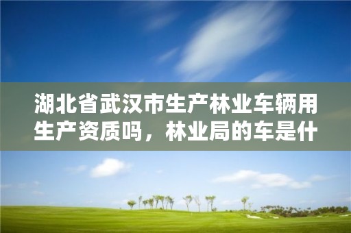 湖北省武汉市生产林业车辆用生产资质吗，林业局的车是什么样的