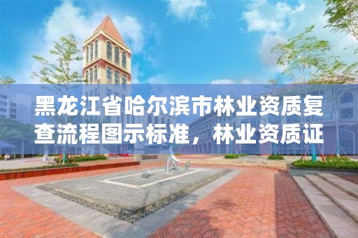 黑龙江省哈尔滨市林业资质复查流程图示标准，林业资质证书怎么办理?