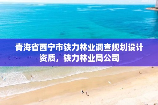 青海省西宁市铁力林业调查规划设计资质，铁力林业局公司