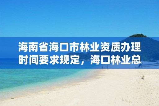 海南省海口市林业资质办理时间要求规定，海口林业总公司