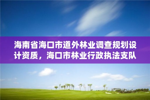 海南省海口市道外林业调查规划设计资质，海口市林业行政执法支队