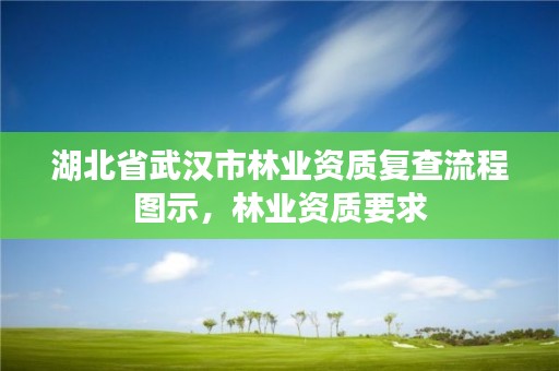 湖北省武汉市林业资质复查流程图示，林业资质要求