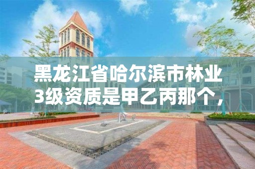 黑龙江省哈尔滨市林业3级资质是甲乙丙那个，黑龙江省林业第三设计院