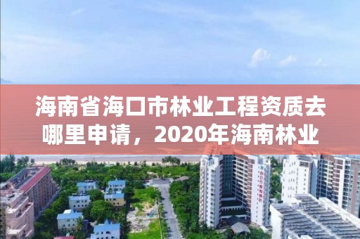 海南省海口市林业工程资质去哪里申请，2020年海南林业政策