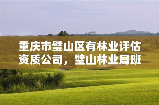 重庆市璧山区有林业评估资质公司，璧山林业局班子成员